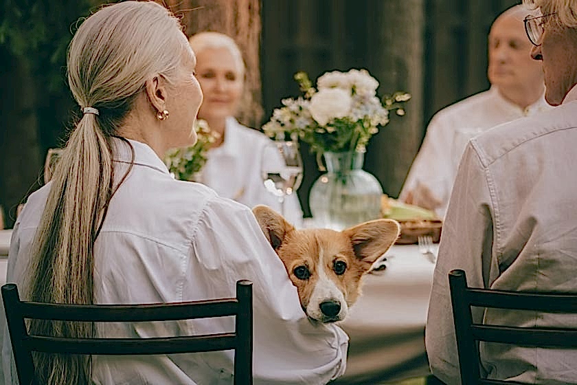 Жестокое обращение с пожилыми людьми