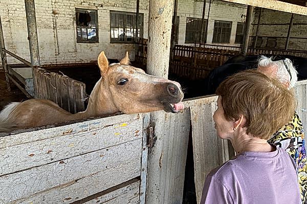 Поездка в конноспортивный клуб «Добрыня»