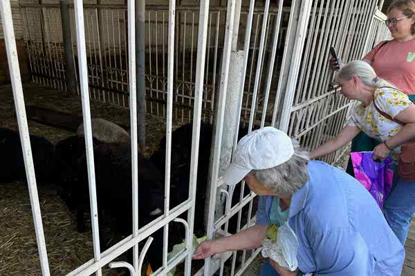 Поездка в конноспортивный клуб «Добрыня»