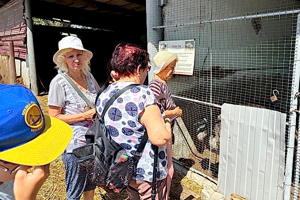 Поездка в конноспортивный клуб «Добрыня»