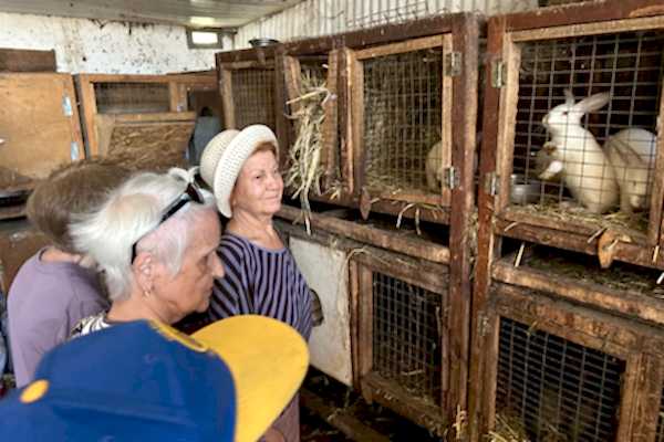 Поездка в конноспортивный клуб «Добрыня»